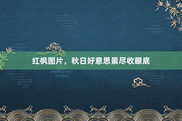红枫图片，秋日好意思景尽收眼底