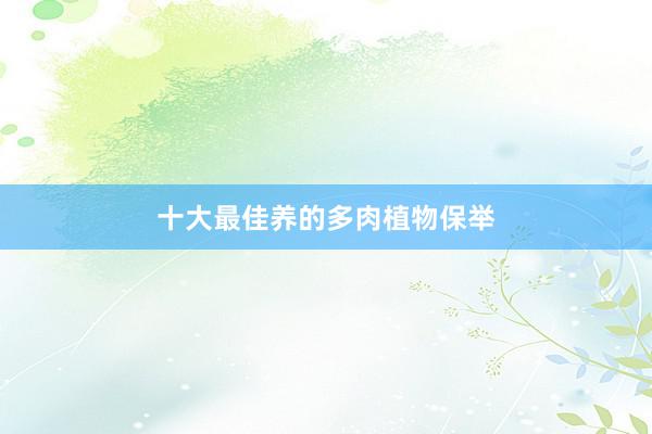 十大最佳养的多肉植物保举