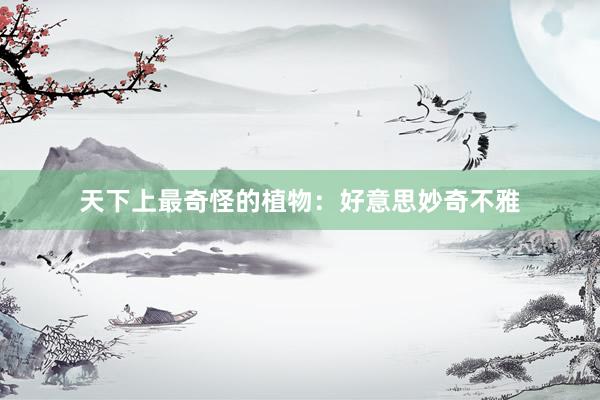 天下上最奇怪的植物：好意思妙奇不雅
