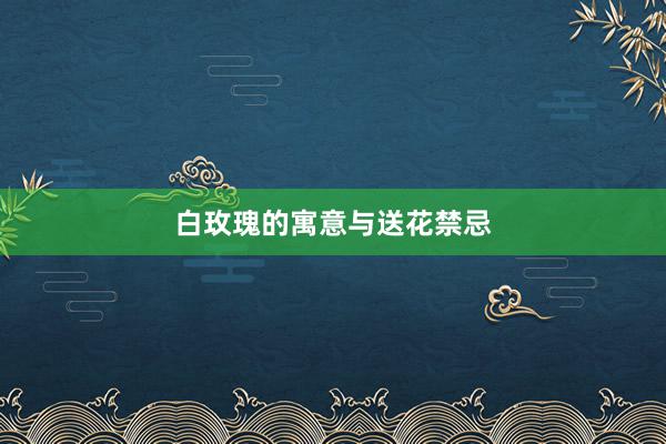 白玫瑰的寓意与送花禁忌