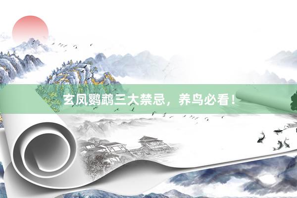 玄凤鹦鹉三大禁忌，养鸟必看！