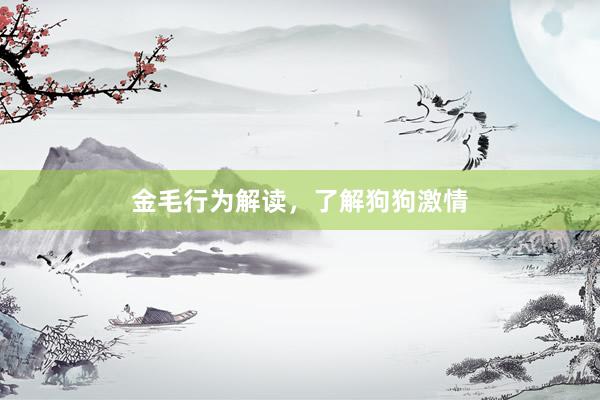 金毛行为解读，了解狗狗激情